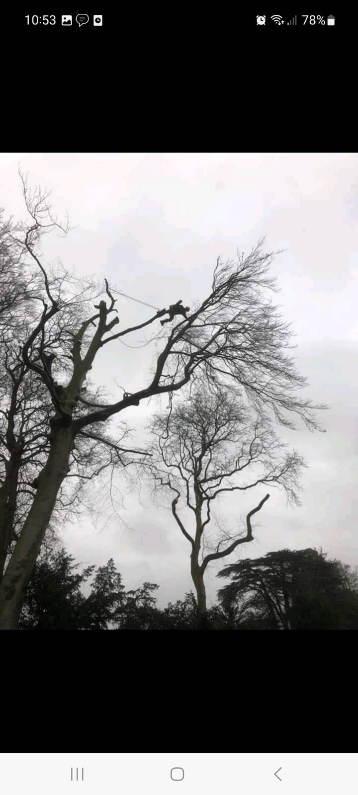 entreprise d'espaces verts pour vos travaux d'élagage abattage secteur Fécamp