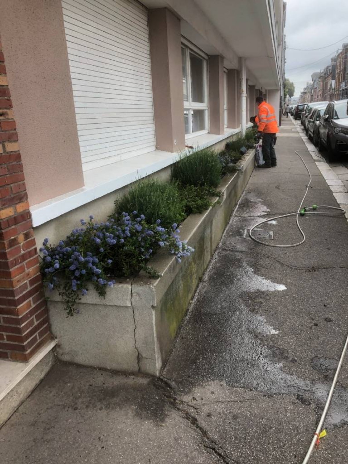 Création de jardinières pour un immeuble d'une agence immobilière à Fécamp