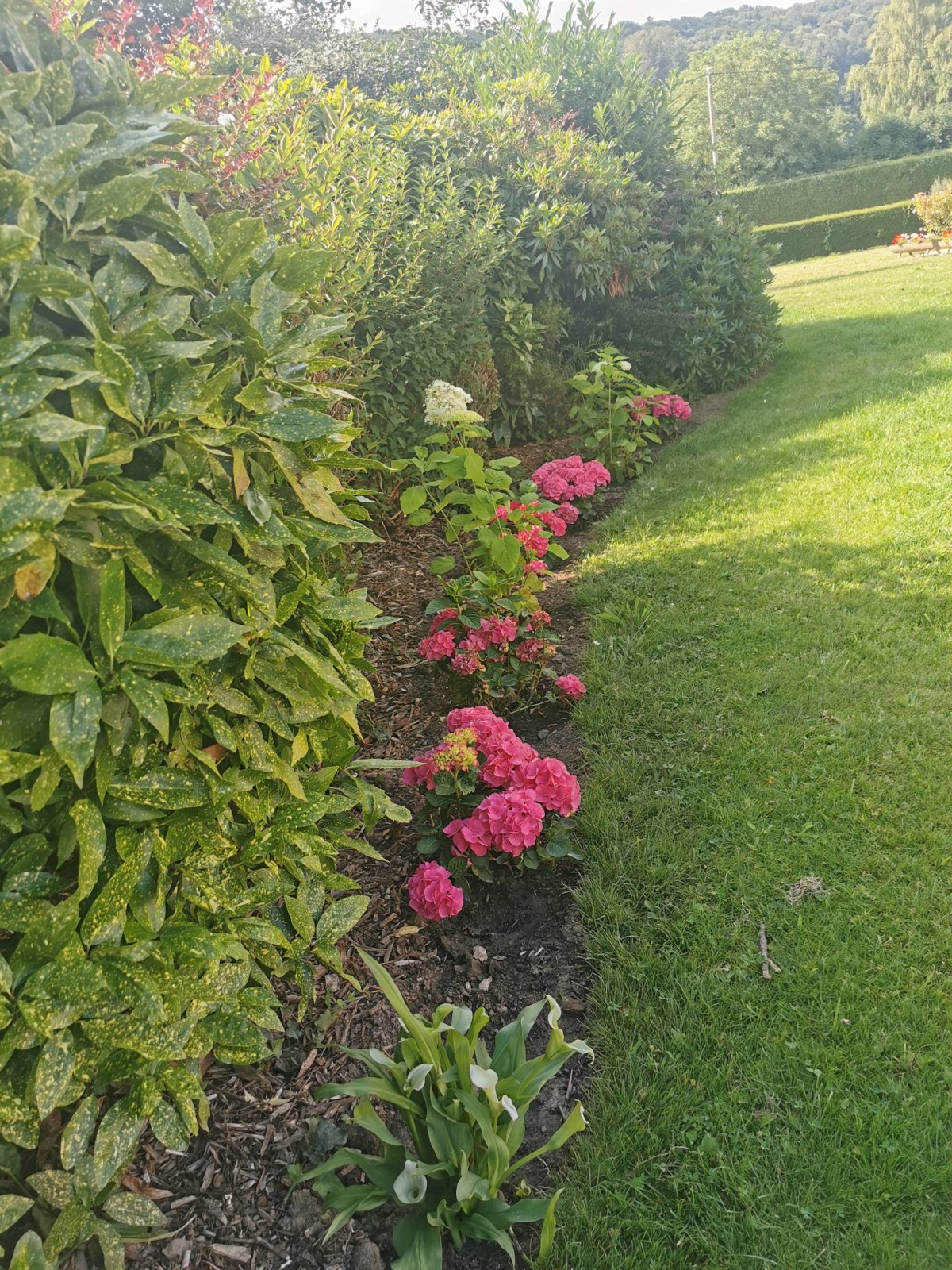 Paysagsite pour Travaux de plantations secteur Fécamp