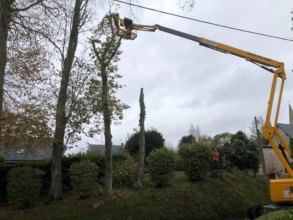Paysagiste spécialisé dans l'élagage et l'abattage avec broyage proche de Fécamp
