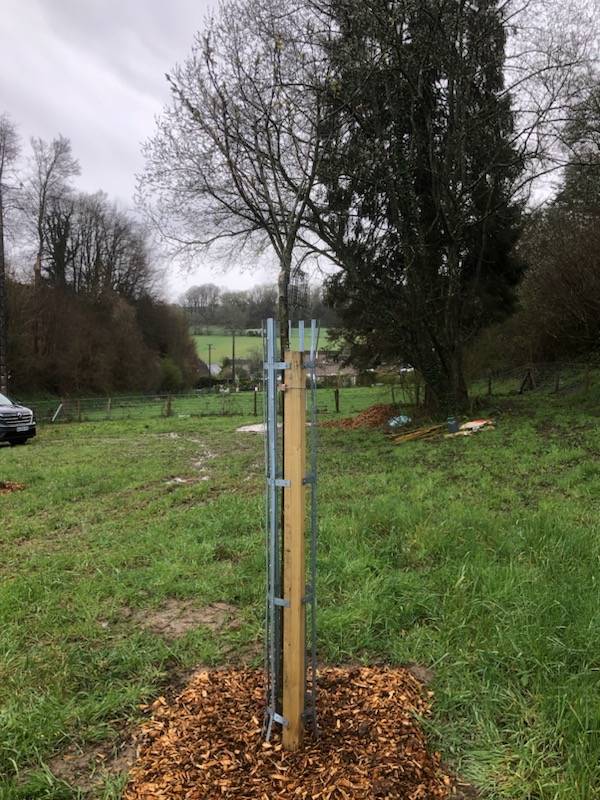 Plantation d'arbres fruitiers (pommiers) pour un particuliers près de Cany Barville 76