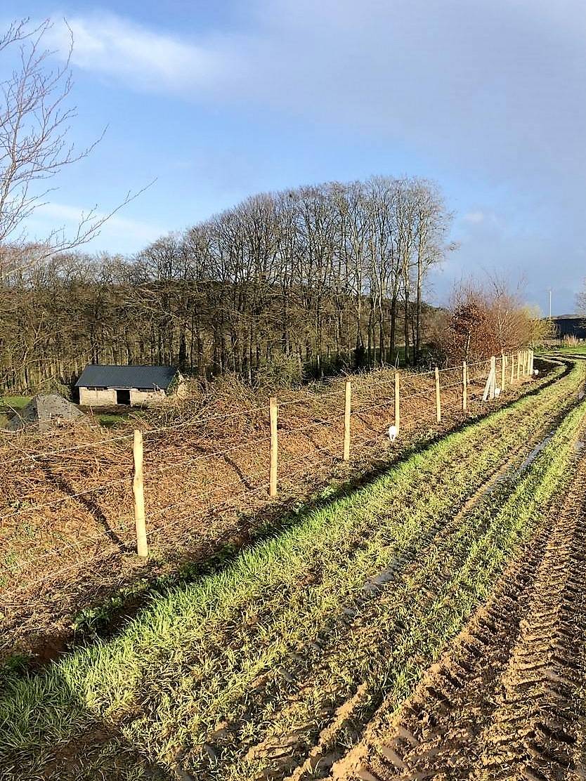clôture fils barbelés sur panneau rigide proche Bolbec
