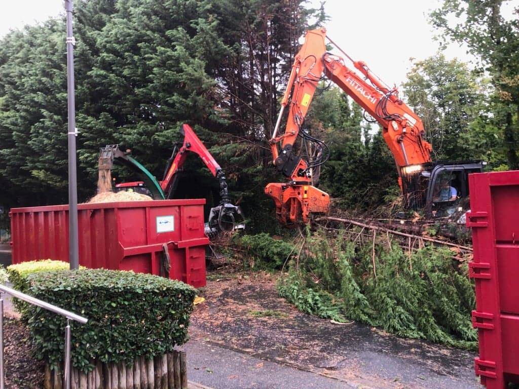 Abattage et broyage d'une haie de thuyas pour la ville de FECAMP en Seine Maritime