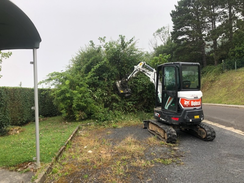 Broyage de ronciers par l'intermédiaire d'une mini pelle avec un broyeur secteur Fécamp 76